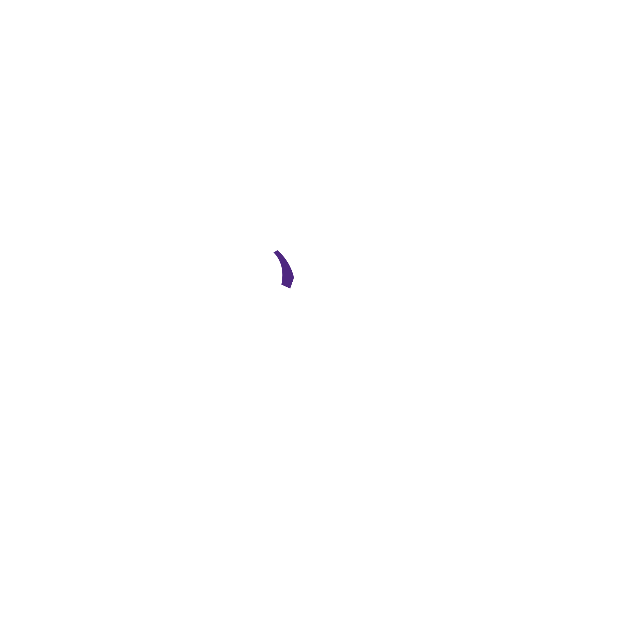 Newton the Tutor